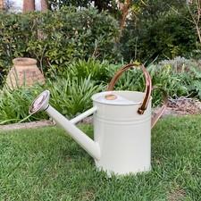 Watering Can Metal Indoor & Outdoor Garden Heritage Cream with Rose (3.5 Litre)