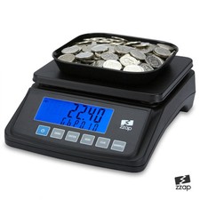 Coin Counting Scale Checker