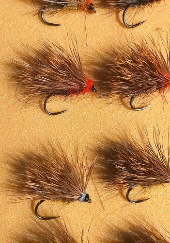 Sedge trout flies - sedge, size
