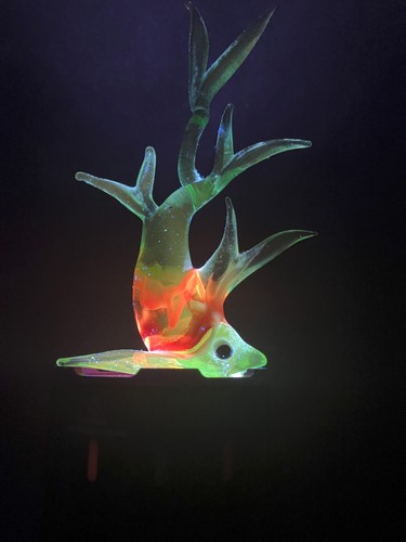 Murano glass fish - glass,