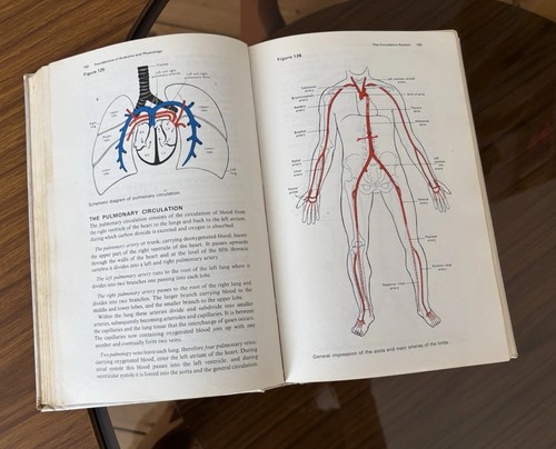 1973 foundations anatomy - foundations, of
