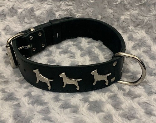 English bull terrier dog - english,