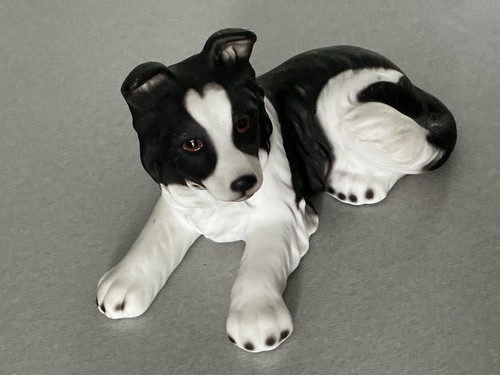 Border fine arts - border, collie