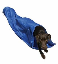 Easy Assemble Dog Pet Agility