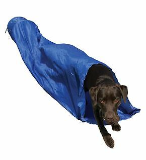 Easy assemble dog pet agility - pet,