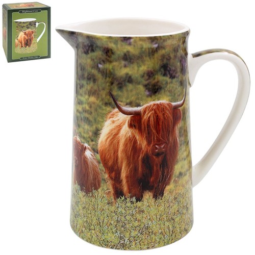 Country highland cow - cow, calf
