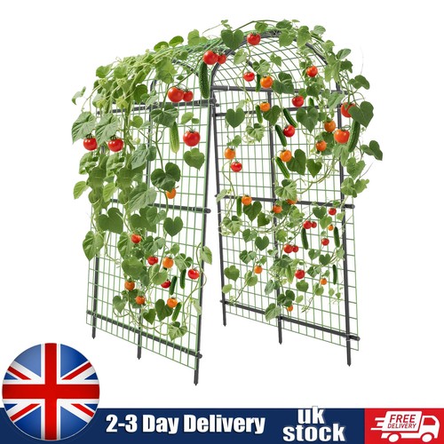 Metal garden arch - m,