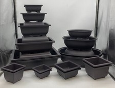 Plastic bonsai training pots - bonsai,