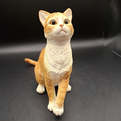 Country artists ginger - tabby,