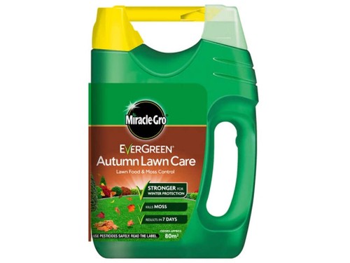 Evergreen autumn lawn care - evergreen,