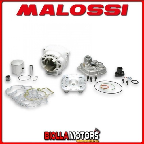 3113030 thermal group malossi - thermal,