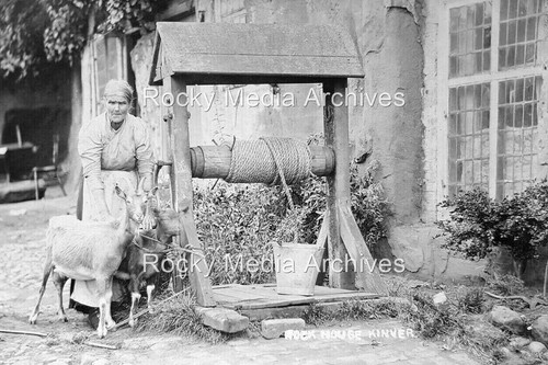 Zmk old lady with goat - lady,