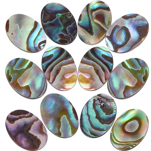 12pcs abalone shell - 12pcs,