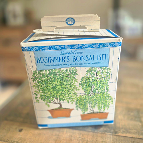 Simplegrow beginner bonsai - simplegrow, beginner’s