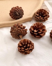 6pcs Natural Pine Cones DIY