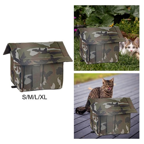 Outdoor feral cats - feral,