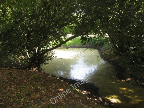Photo 6x4 duckpond dovecote - photo, at