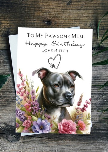 Staffie birthday card - staffie,