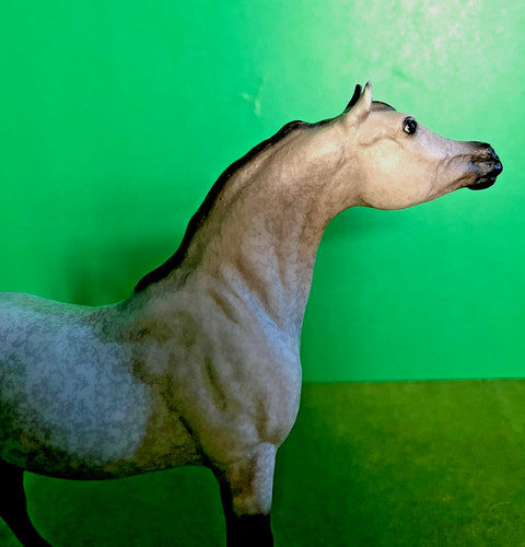 Breyer classic dapple - breyer,