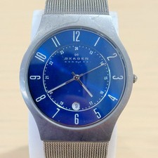 Men’s SKAGEN Watch Denmark