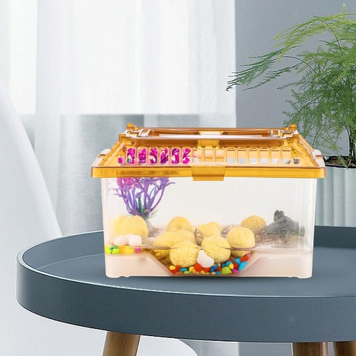 Transparent turtle tank - turtle,