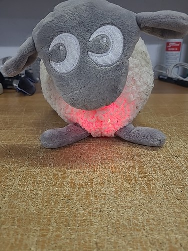 Used ewan the dream sheep - ewan,