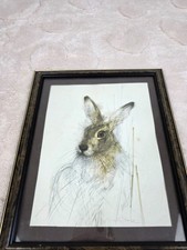 Mads Stage Hare Print Framed