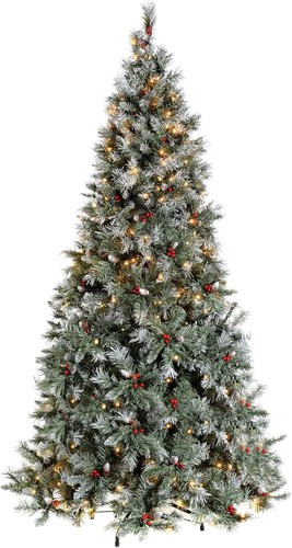 5ft scandinavian blue spruce - blue,