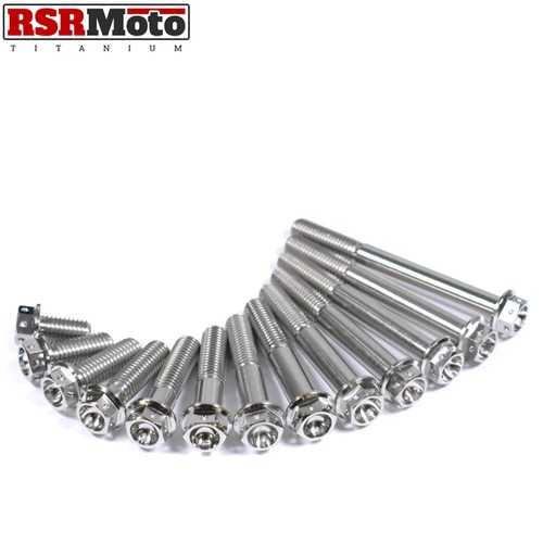 Titanium race drilled - titanium,