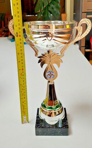 Large used dart trophies - large,