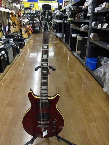 Hamer series sunburst - hamer, xt