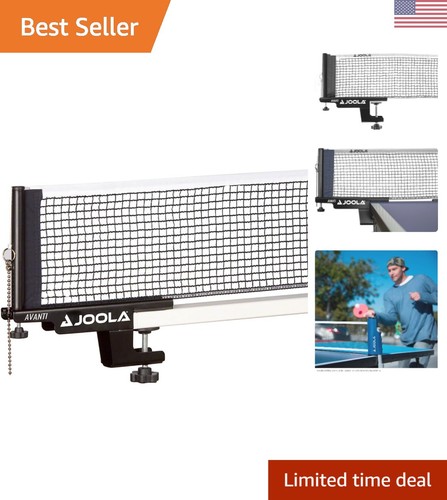 Professional ping pong - pong, net