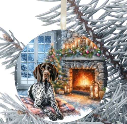 German shorthaired pointer - shorthaired, dog