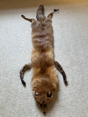 Vintage red fox - red,