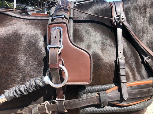 Ideal driving harness - harness, shaft