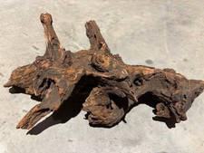 Large Ancient Root  Wood