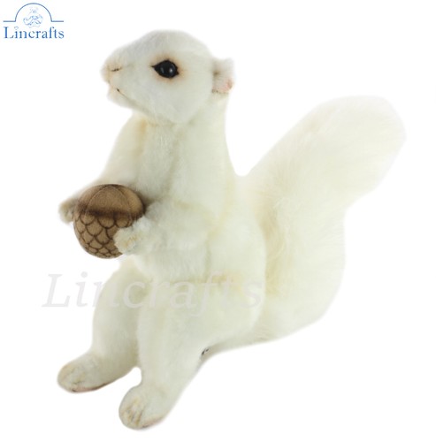 White squirrel with acorn - with, soft