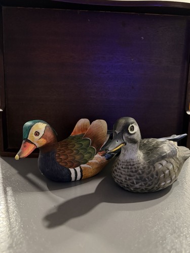 Mandarin ducks pair - mandarin,
