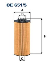Fits FILTRON OE 651/5 Oil