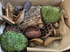 Terrarium Vivarium Insect Reptile Decorations. Tropical pods mosses branch leaf