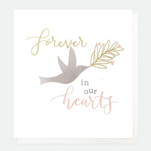 Really lovely forever our - really, 'forever