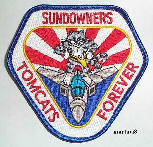 Navy 14 tomcat - f-14,