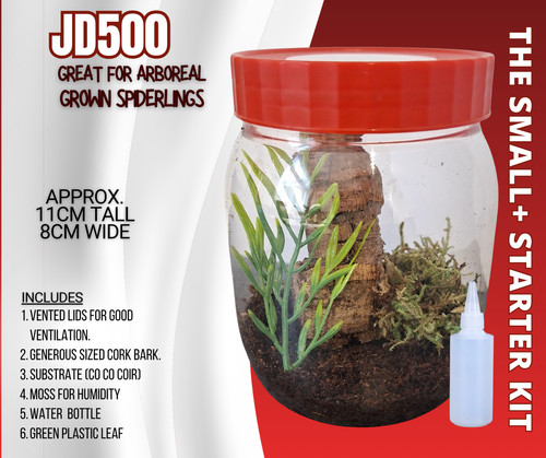 Enclosure spiderling tarantula - spiderling,