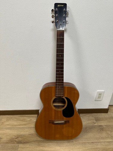 Elite takamine acoustic guitar - elite,