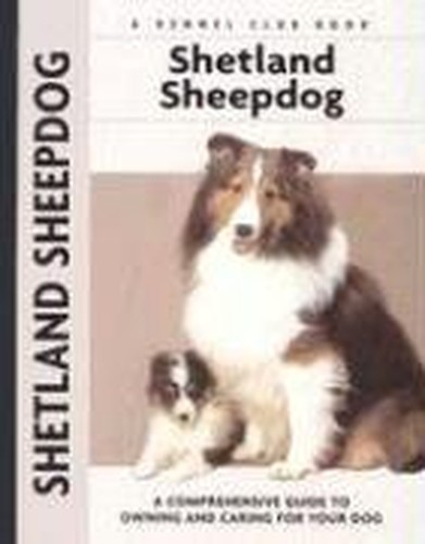 Shetland sheepdog a - shetland, sheepdog: