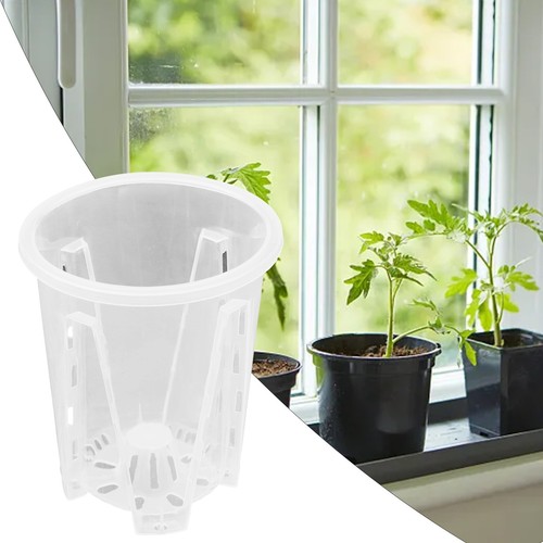 Orchid pot clear - orchid,