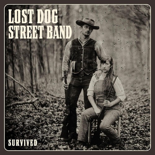 Lost dog street - dog,
