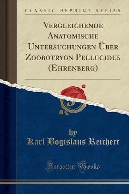 Vergleichende anatomische - vergleichende,