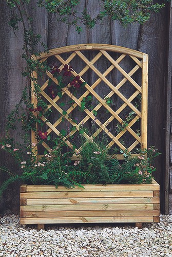 Forest toulouse wooden - forest,