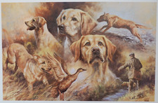 Mick Cawston. Limited Edition Print. Unframed. Labrador Retrievers.